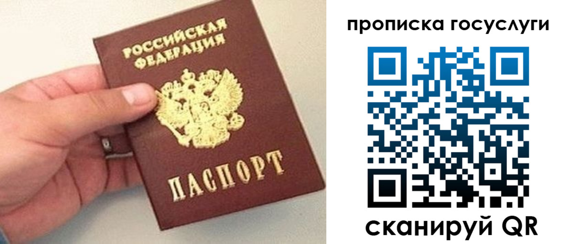 где прописаться в Пионерском